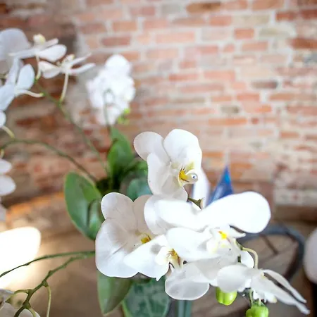 La Canonica - Charming Self-catering In Appartamento Nizza Monferrato